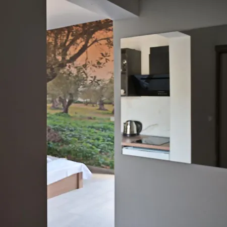 Liofytaki 2 Apartment